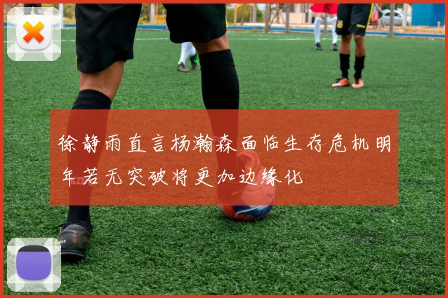 徐静雨直言杨瀚森面临生存危机明年若无突破将更加边缘化